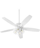 Ceiling Fans with Lights